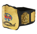 WWF World Tag Team Championship Replica Title Belt