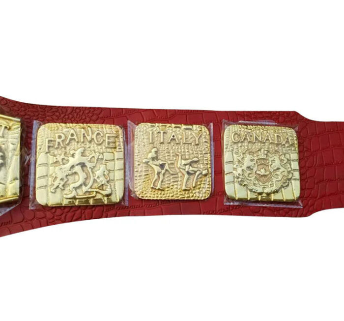 WWWF Bob Backlund World Heavyweight Championship Belt