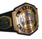 AEW World Tag Team Championship Replica Title Belt