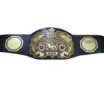 WWWF Junior Heavyweight Replica Championship Belt